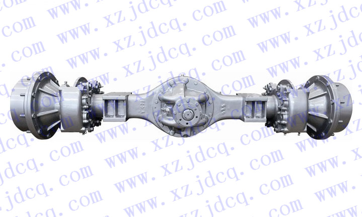 541F(C216NZS NZT) Drive axle